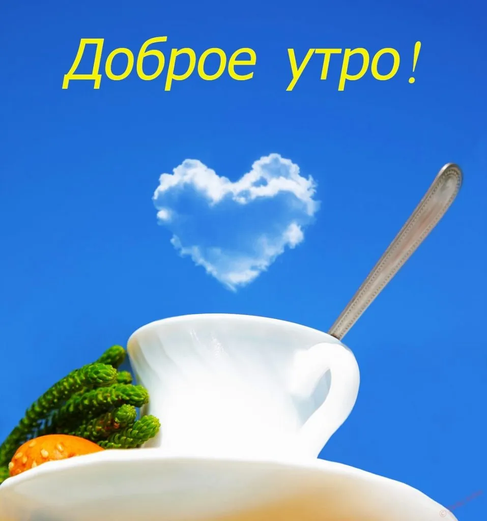 Tapтaлeтки & Ко