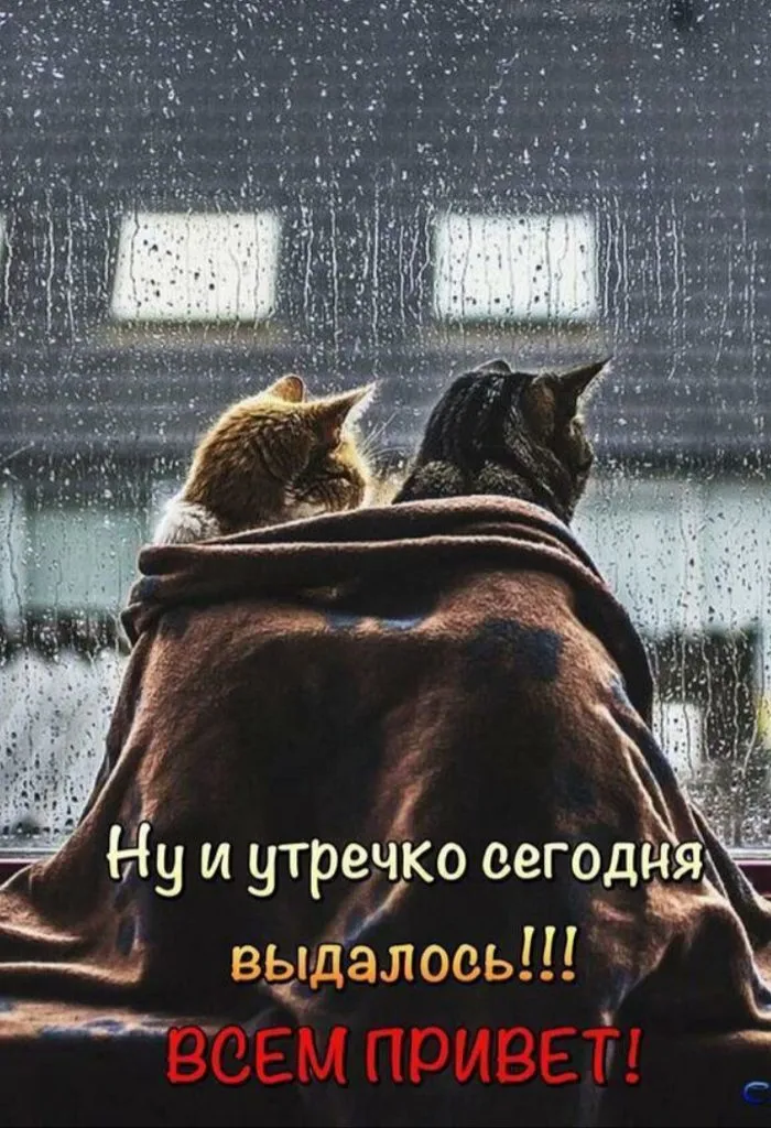 Кафе «У пани Сони»