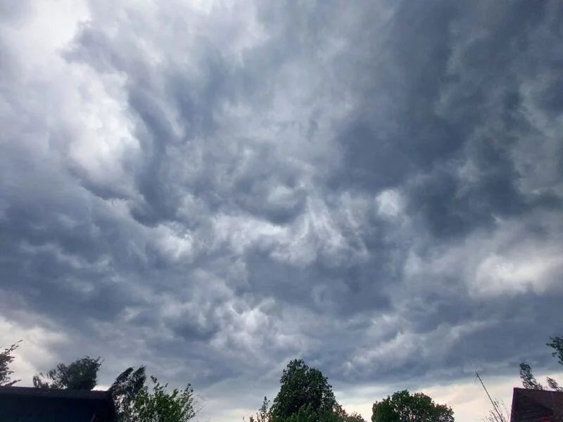 Такое разное небо