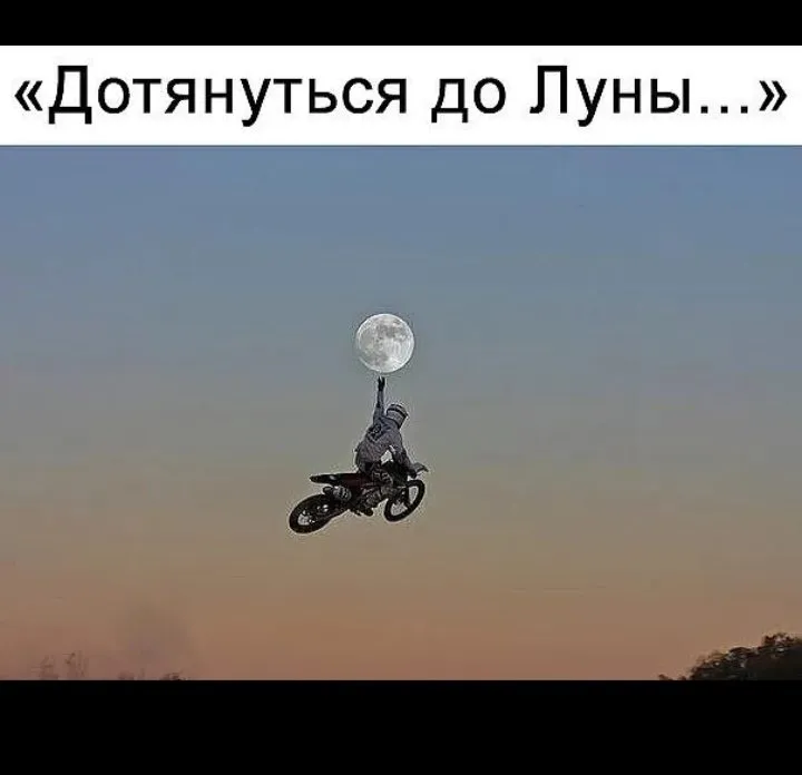 Tapтaлeтки & Ко
