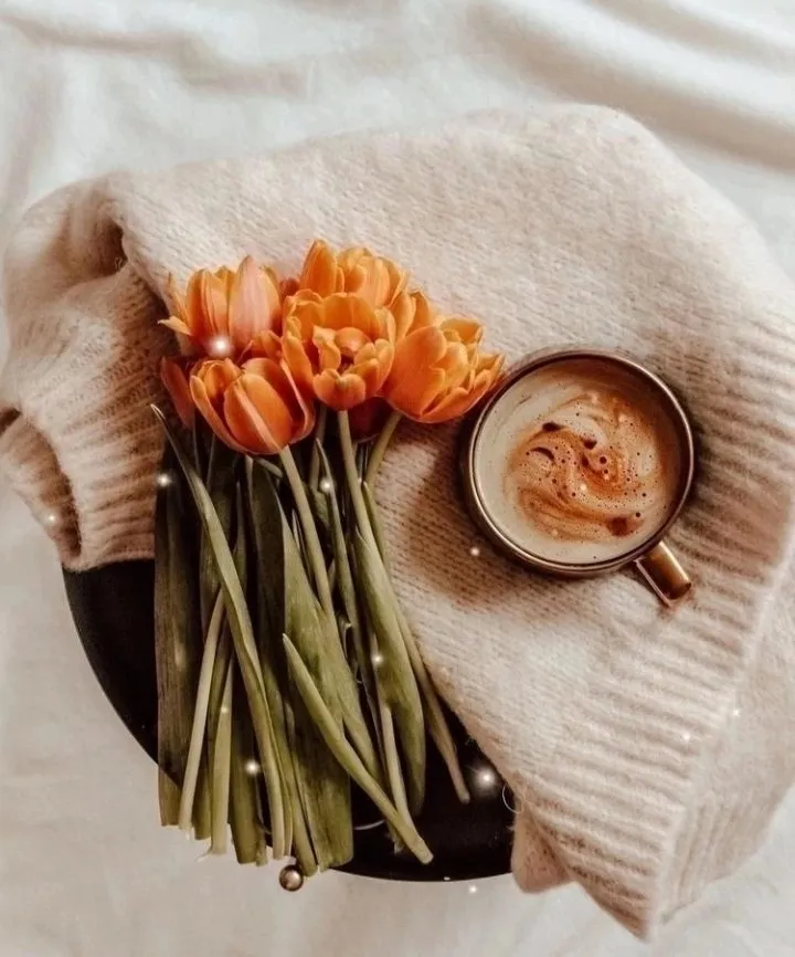 Кафе «У пани Сони»