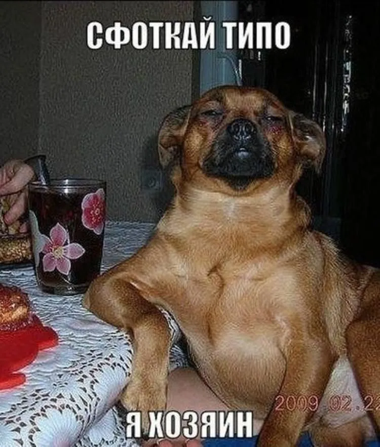 Посмеялся сам - поделись с другом!!!