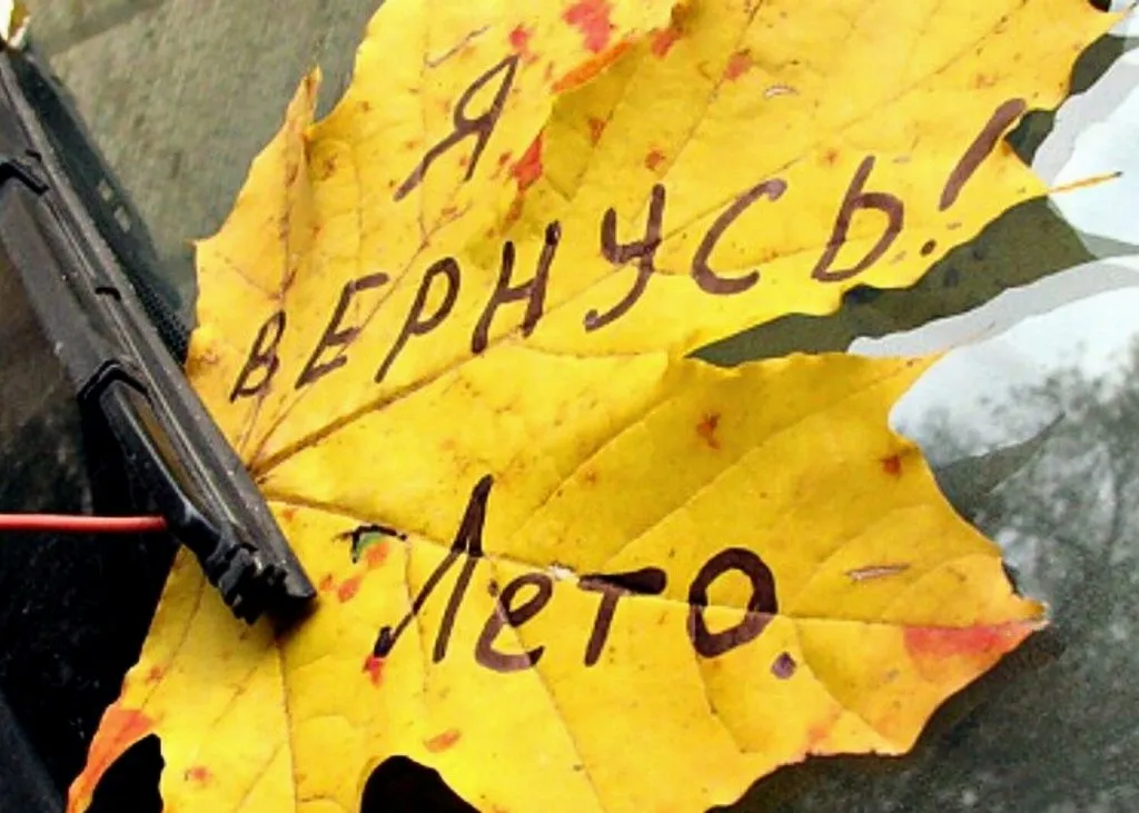 Позитивчик (фото, видео, рассказы для хорошего настроения)