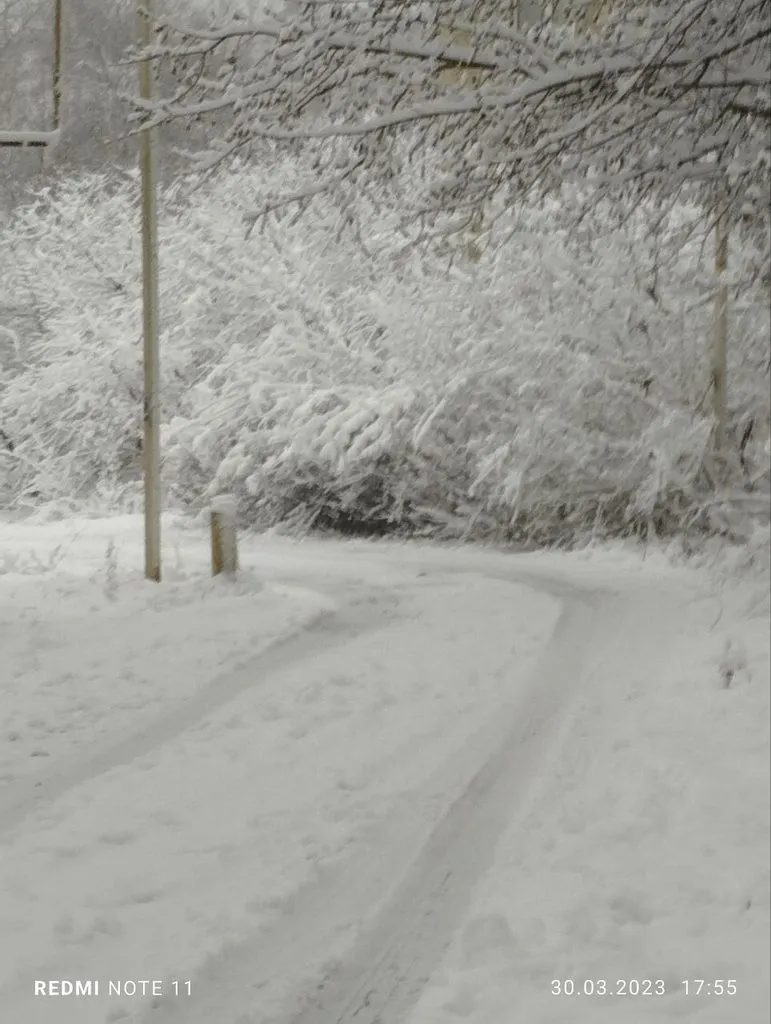 Чайная беседка