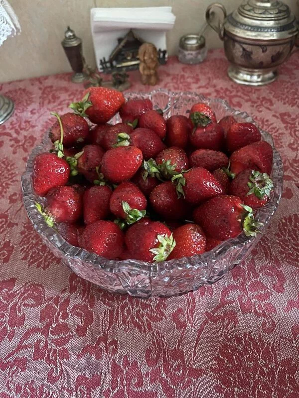 Tapтaлeтки & Ко