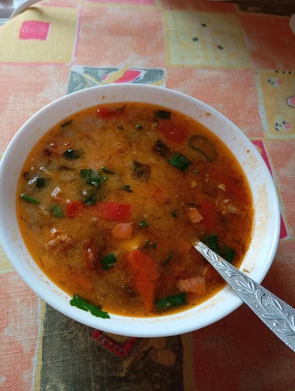 СЕлянка мясная сборная от Е. И. Молоховец