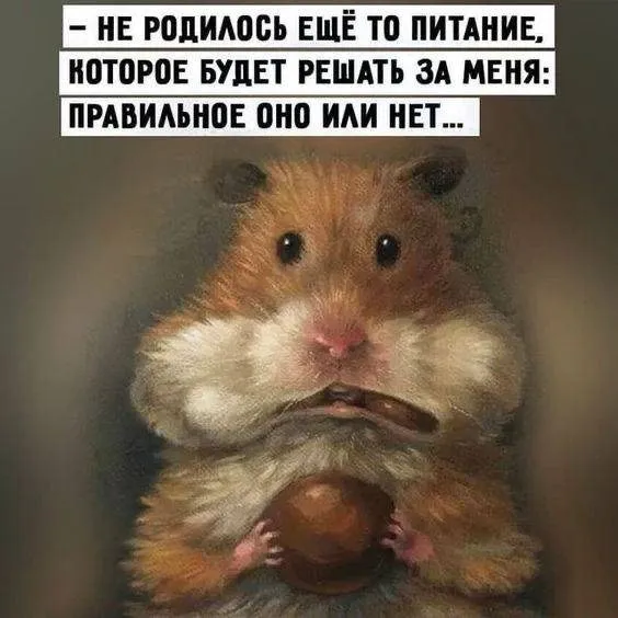 Tapтaлeтки & Ко