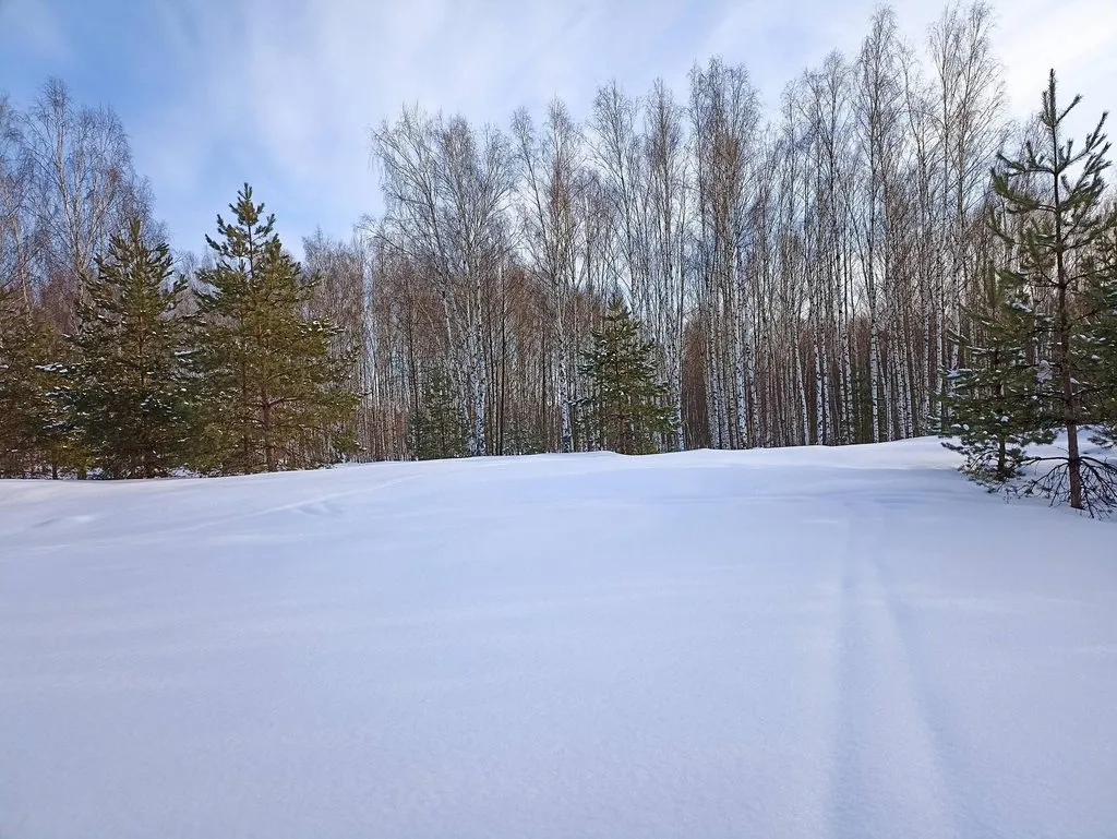 Фотонастроение