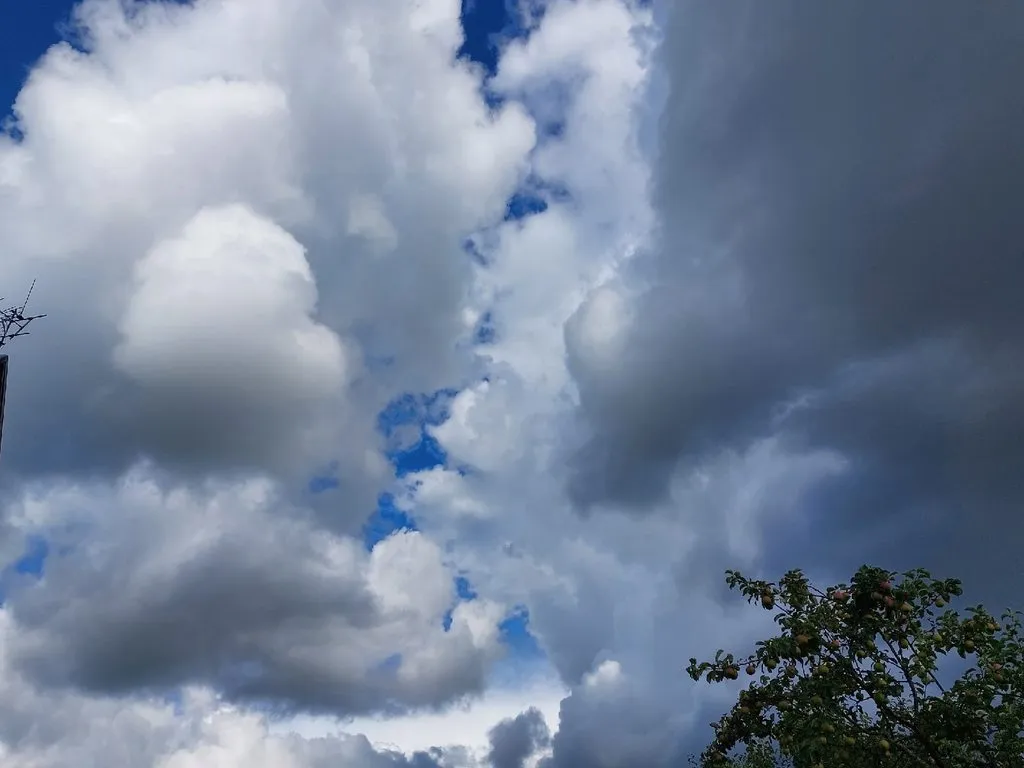 Такое разное небо