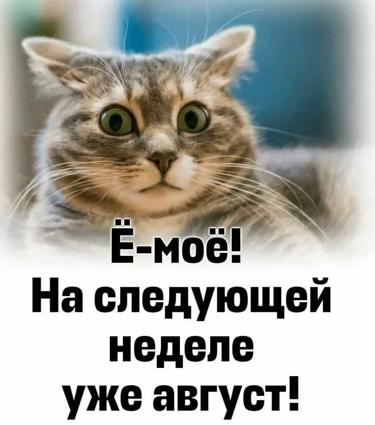 Кафе "У пани Сони"