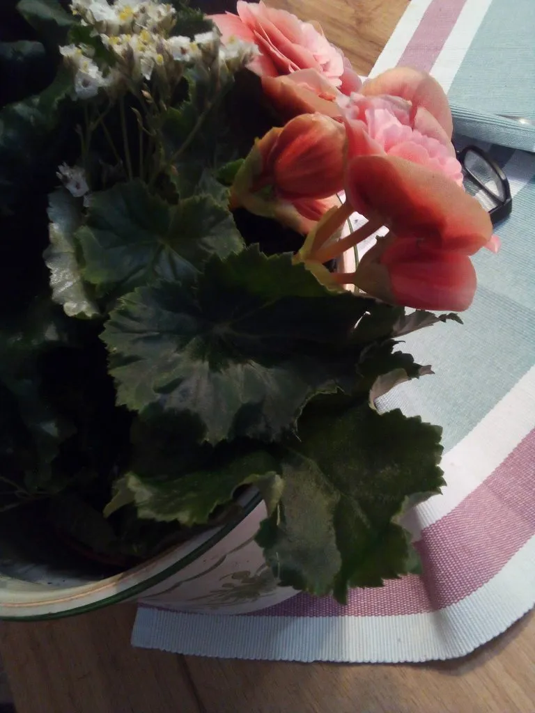 Чайная беседка