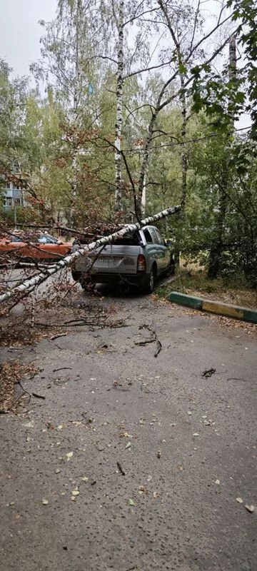 Чайная беседка