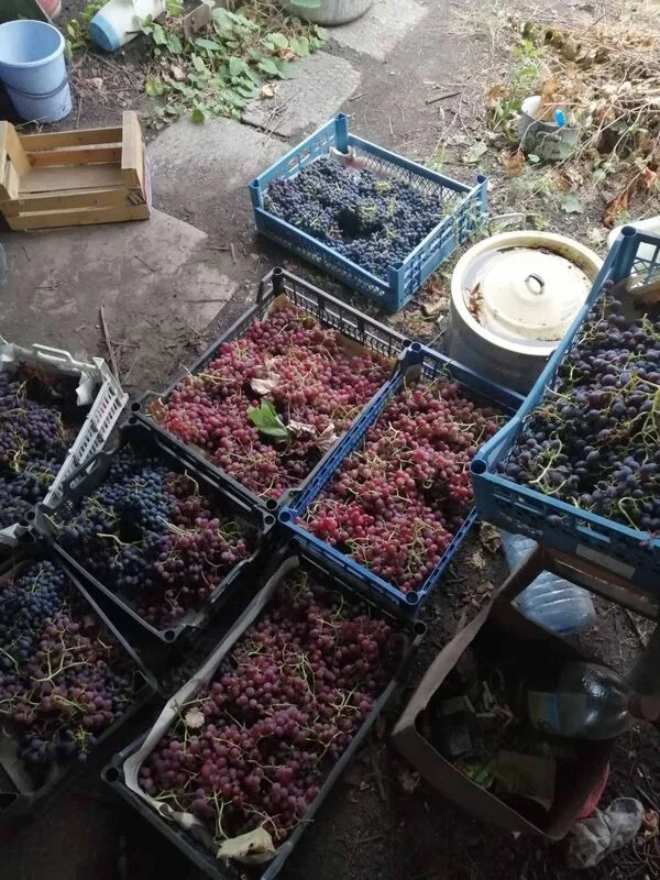 Чайная беседка