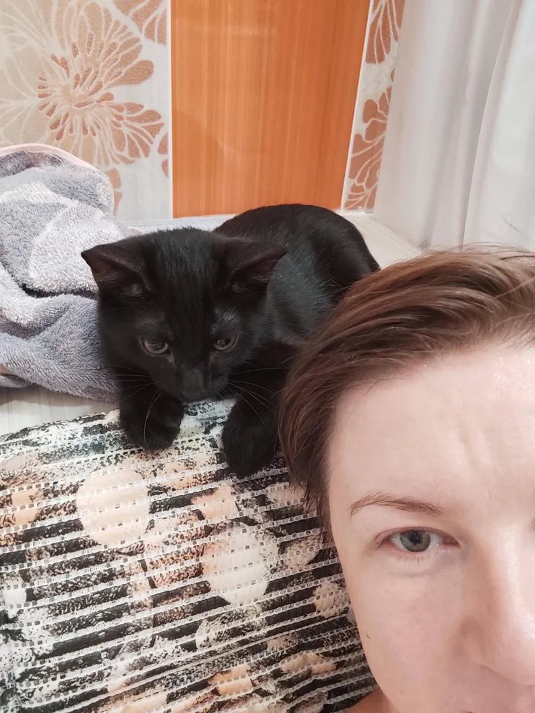 Tapтaлeтки & Ко