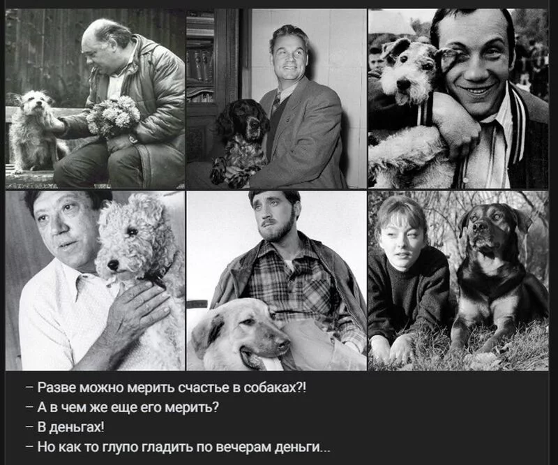 Позитивчик (фото, видео, рассказы для хорошего настроения)