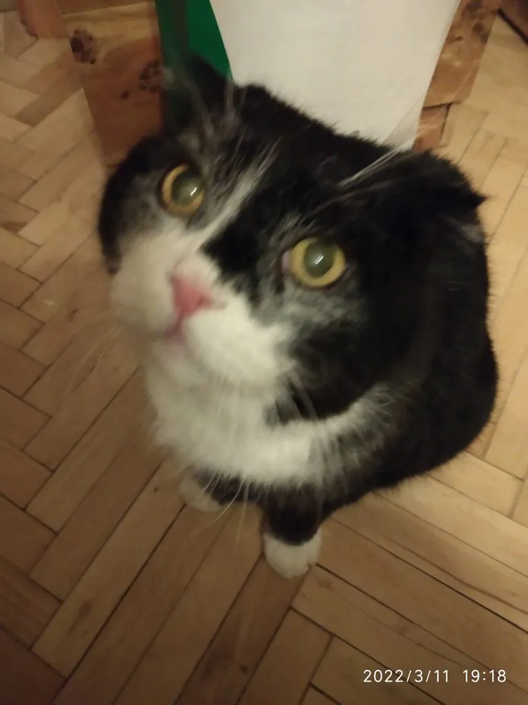 Кафе «У пани Сони»