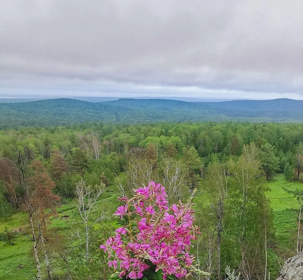 Такое разное небо