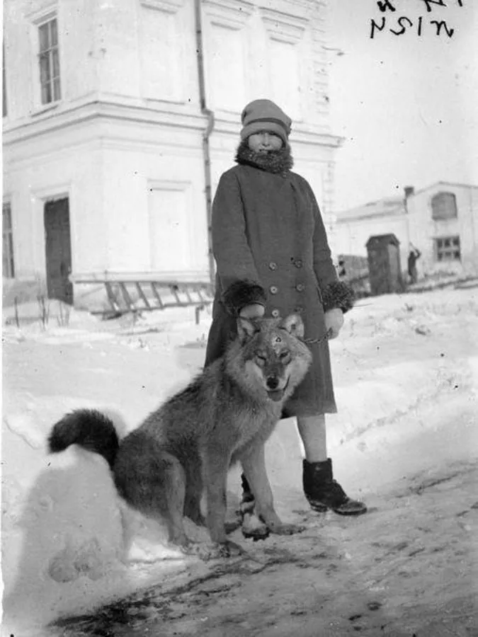 Запечатленная история