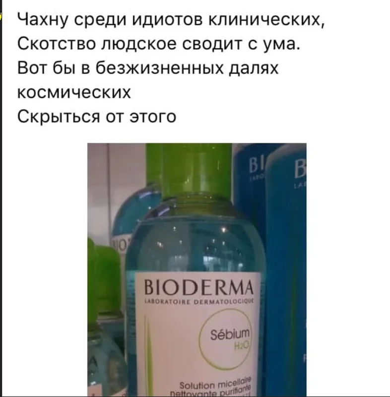 Всюду рифмы