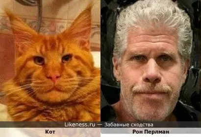 Посмеялся сам - поделись с другом!!!