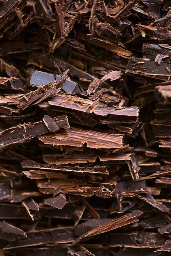 Tapтaлeтки & Ко