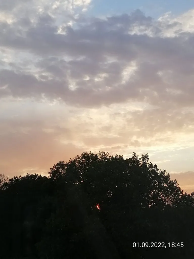 Чайная беседка