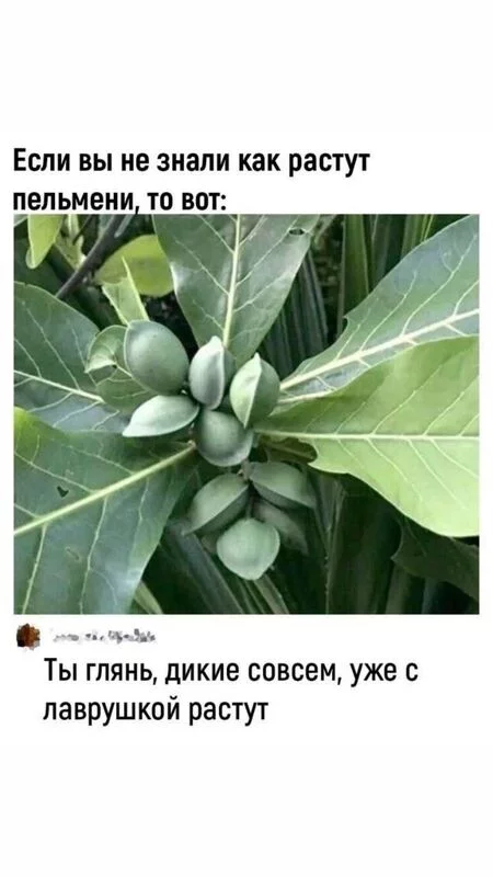Посмеялся сам - поделись с другом!!!