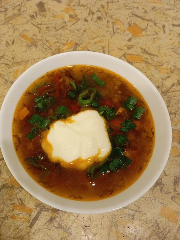 СЕлянка мясная сборная от Е. И. Молоховец