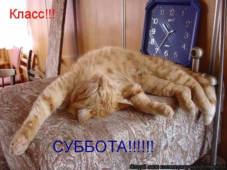Кафе «У пани Сони»