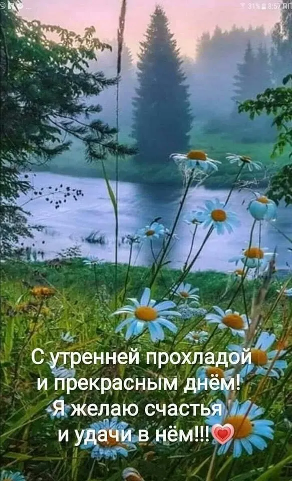 Кафе «У пани Сони»