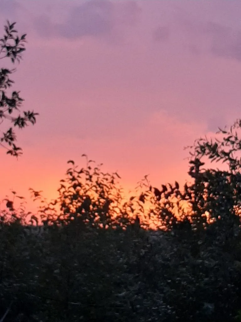 Такое разное небо