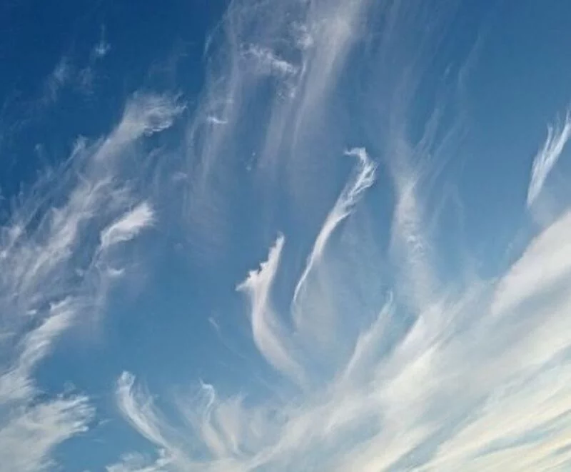 Такое разное небо