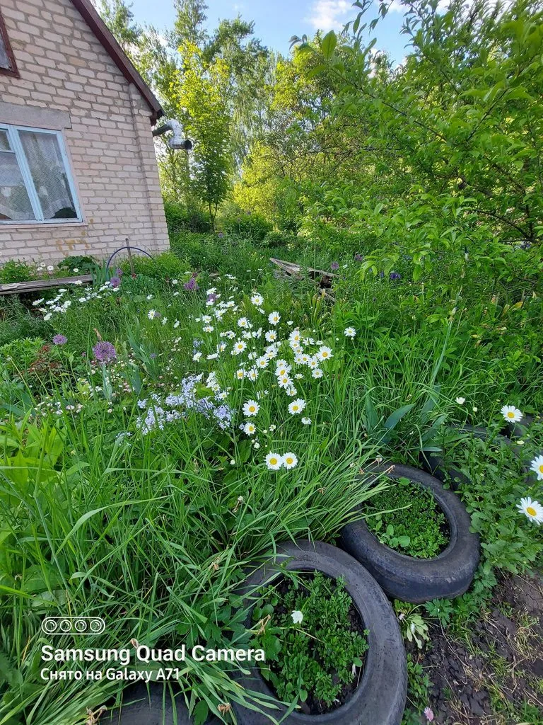 Чайная беседка