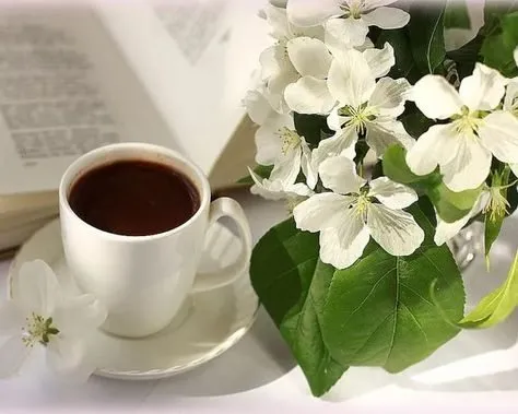 Tapтaлeтки & Ко