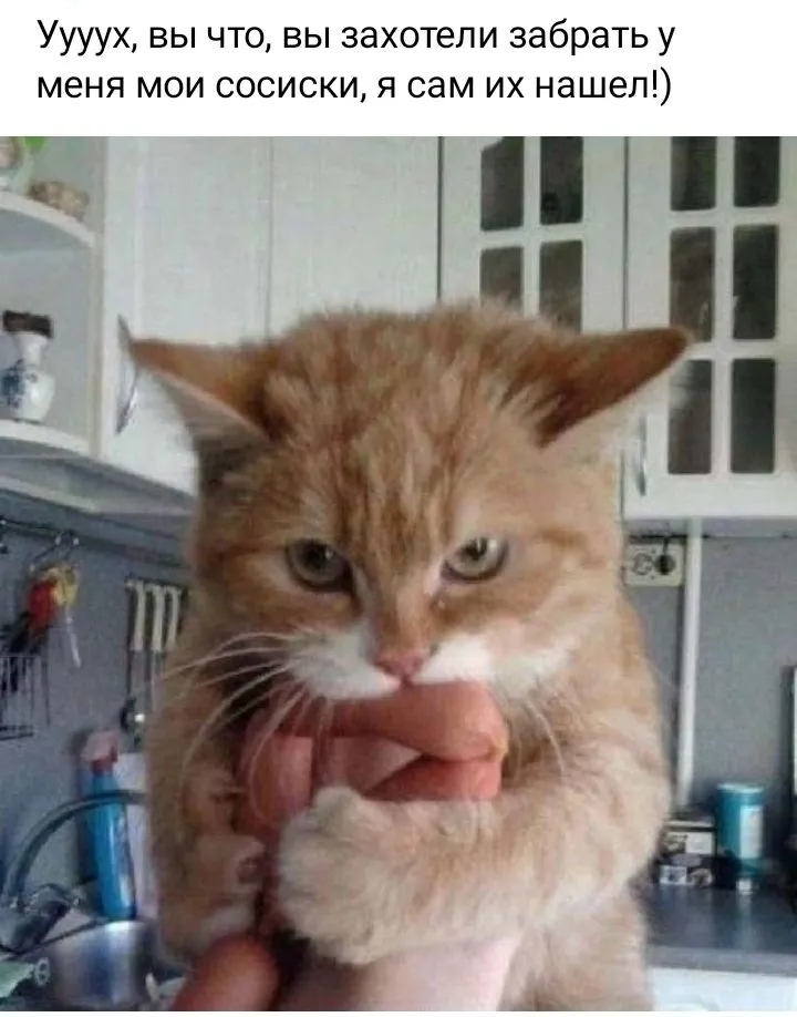 Кошичкина полиция