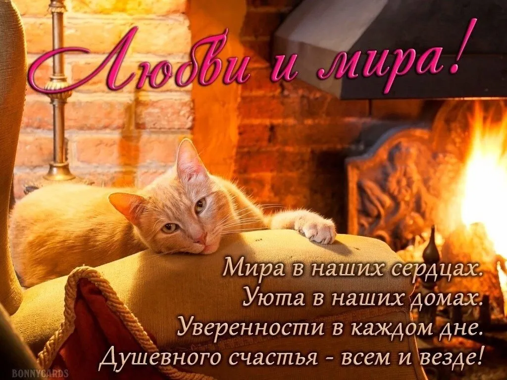 Кафе "У пани Сони"
