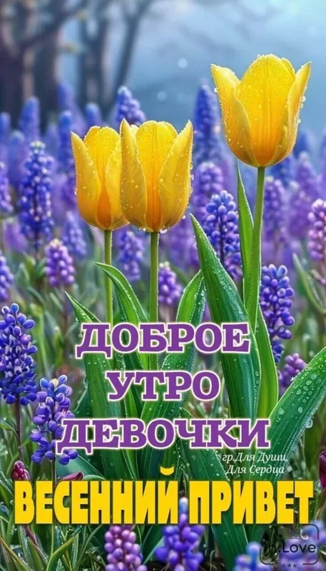 Кафе "У пани Сони"