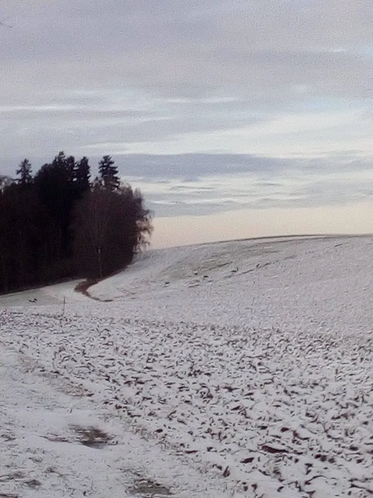 Tapтaлeтки & Ко