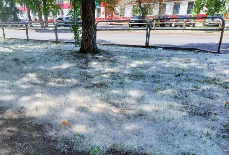 Фотонастроение