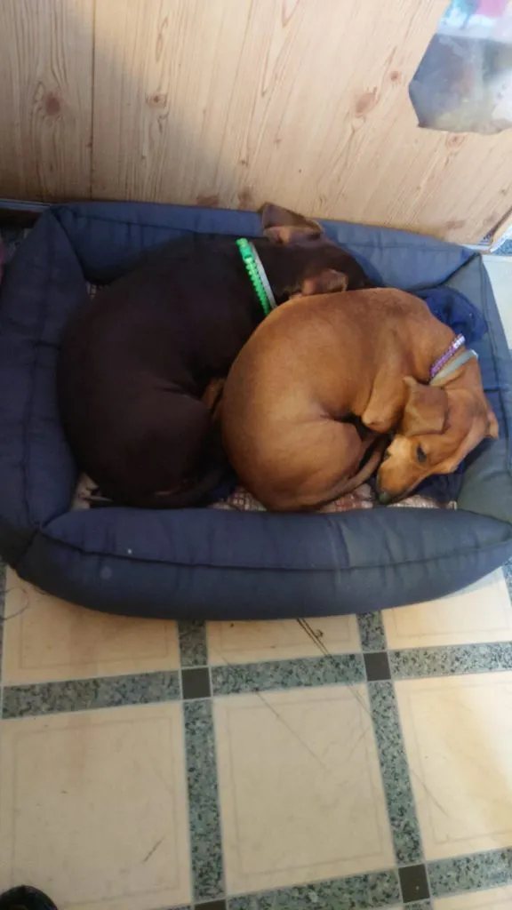 Живой Журнал Жульена