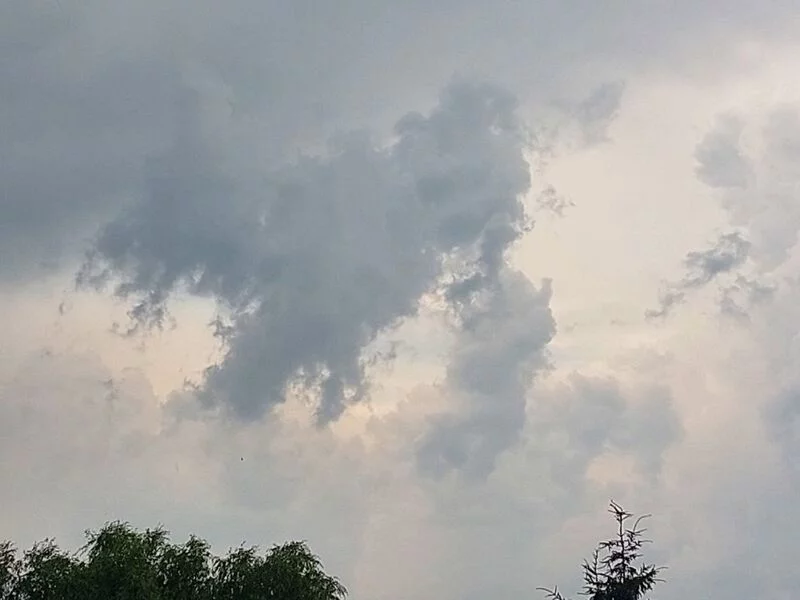 Такое разное небо