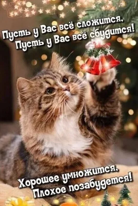 Позитивчик (фото, видео, рассказы для хорошего настроения)