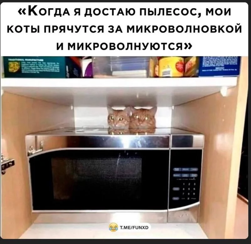 Кто сказал "Мяу"?