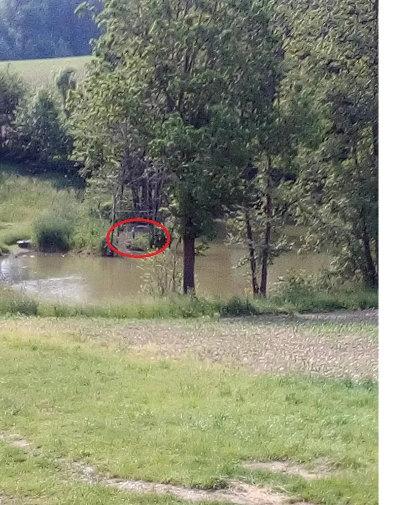 Чайная беседка