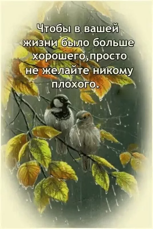 Позитивчик (фото, видео, рассказы для хорошего настроения)