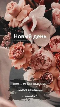 Tapтaлeтки & Ко