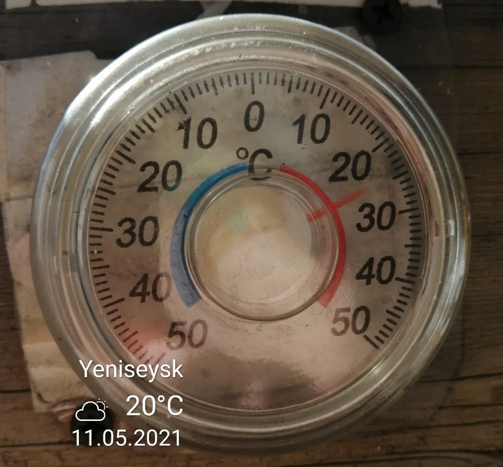 Tapтaлeтки & Ко