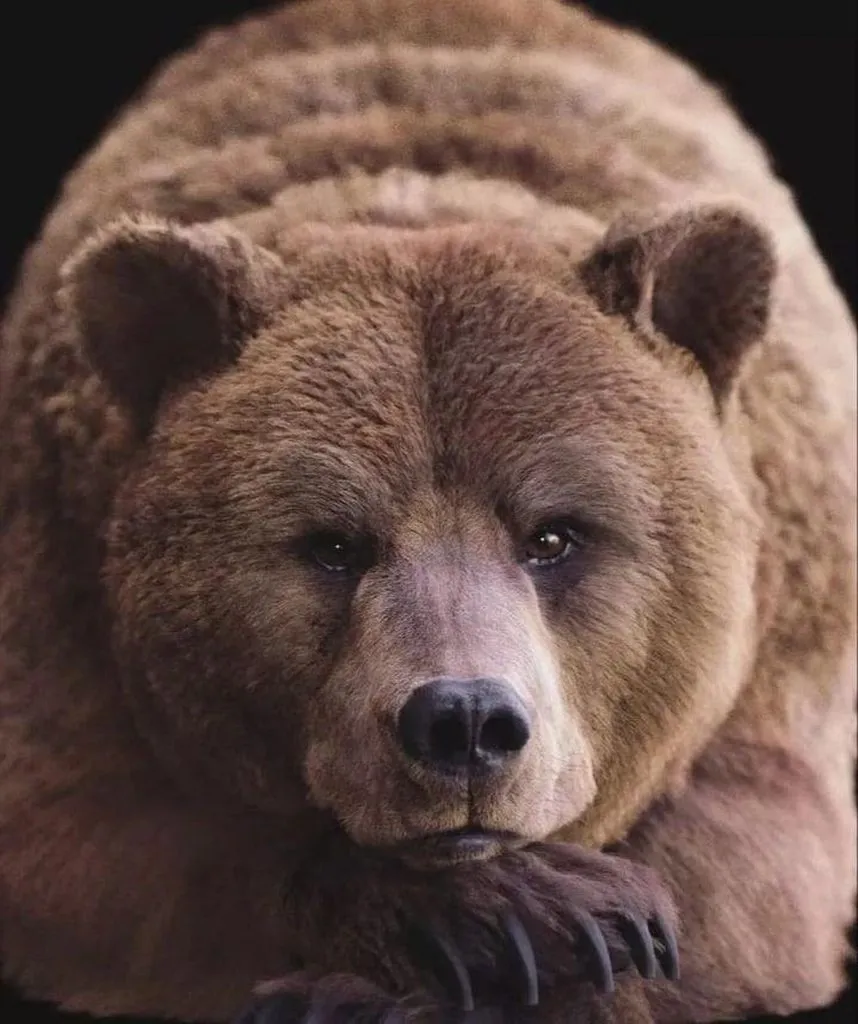 Эти забавные животные