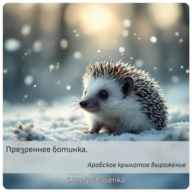 «Презреннее...» height="550" width="550"