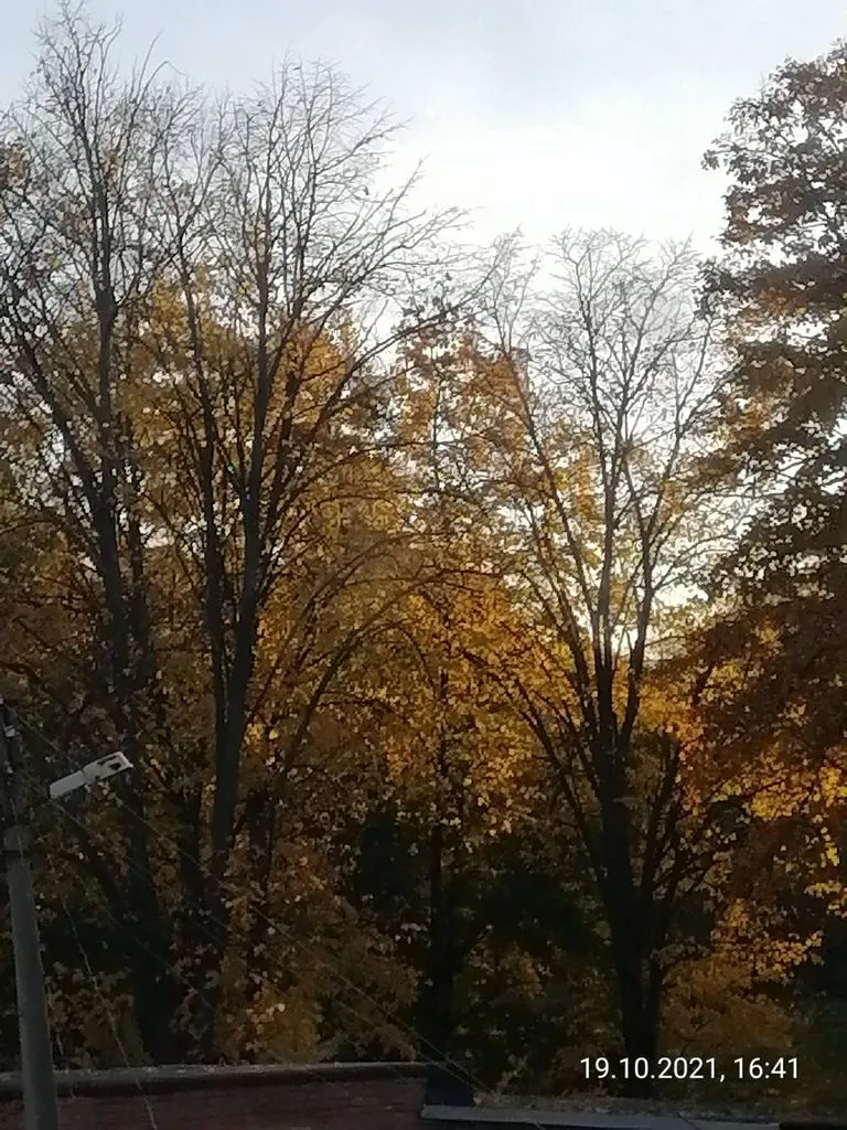 Чайная беседка